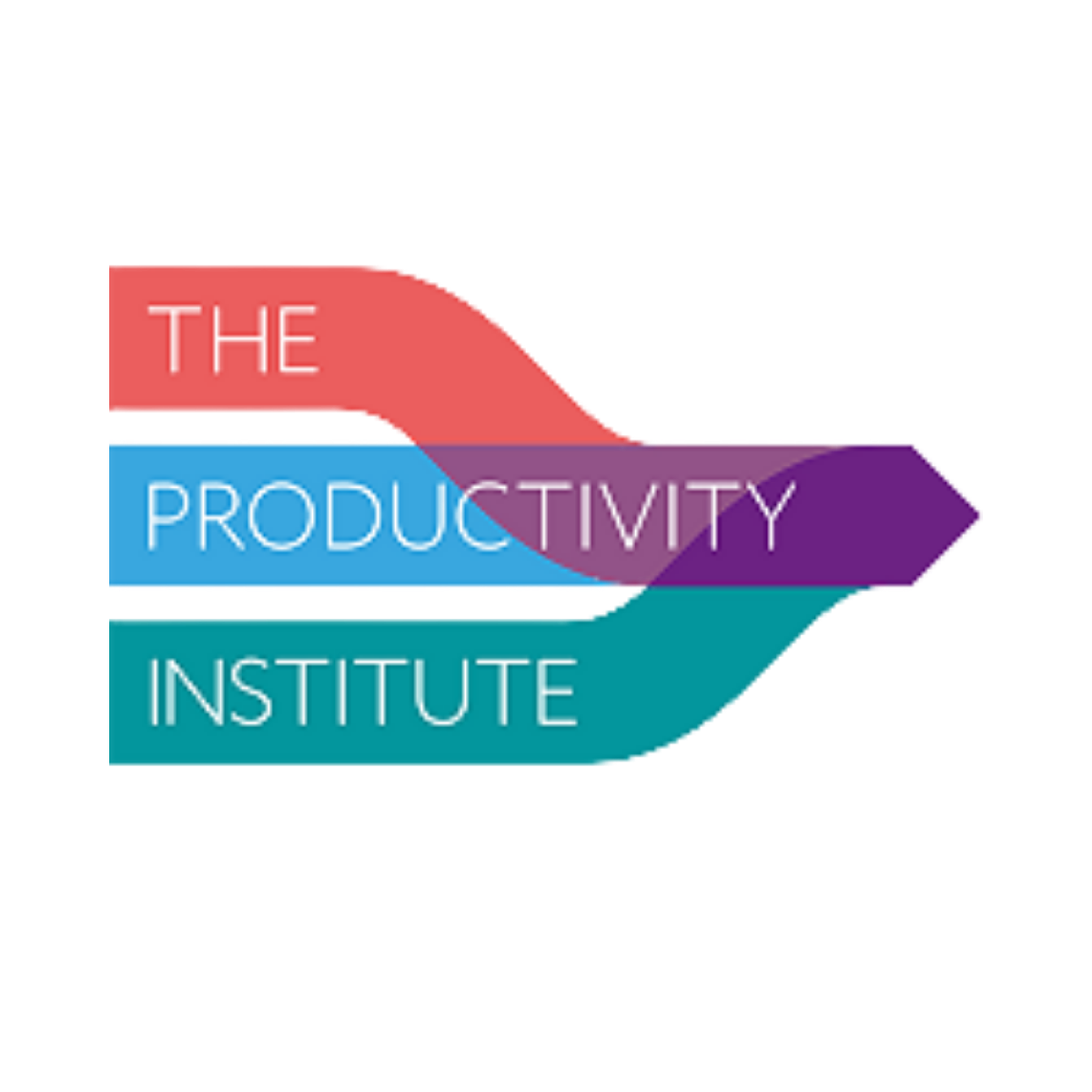 The Productivity Institute (TPI)